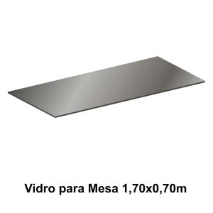 VIDRO FUME 1,70X0,70M - 21430