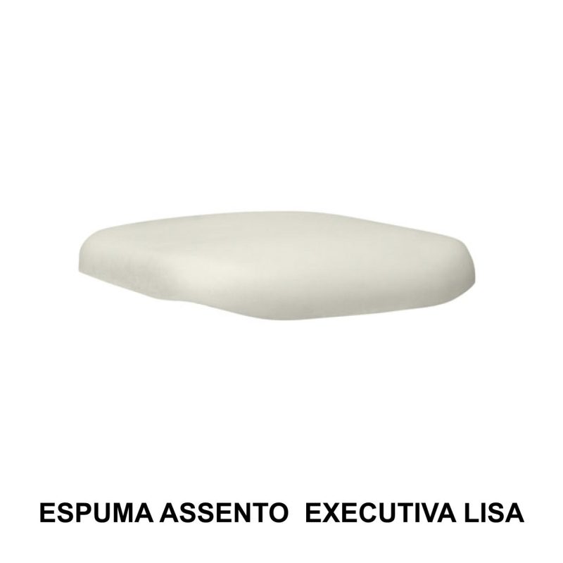 15308414375-copia-de-espuma-assento-executiva-lisa-3.jpg