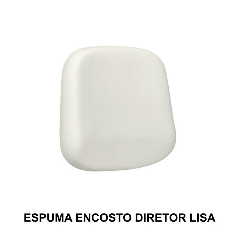 15308734545-espuma-encosto-diretor-lisa-1.jpg